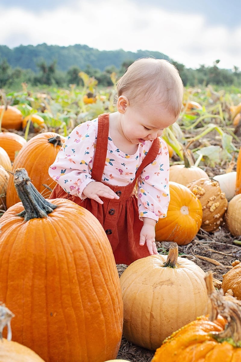 Fall Gardening