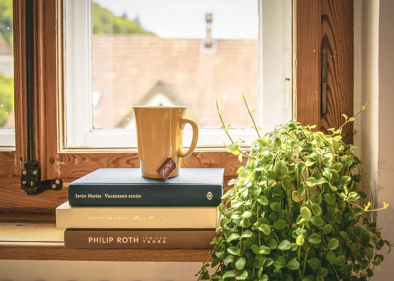 Houseplant Tips